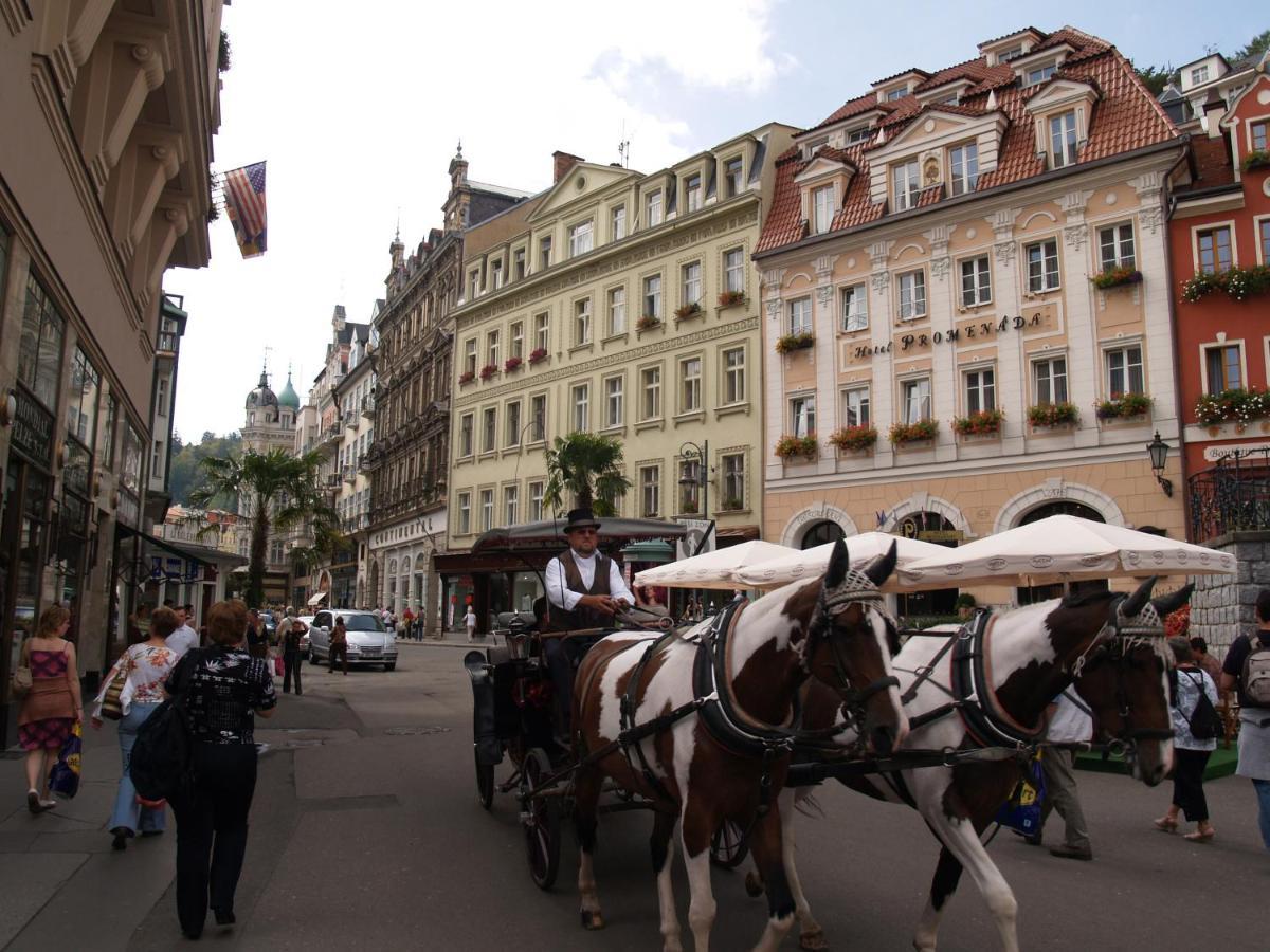 Apartment No. 12 Trziste 29 Karlovy Vary Esterno foto